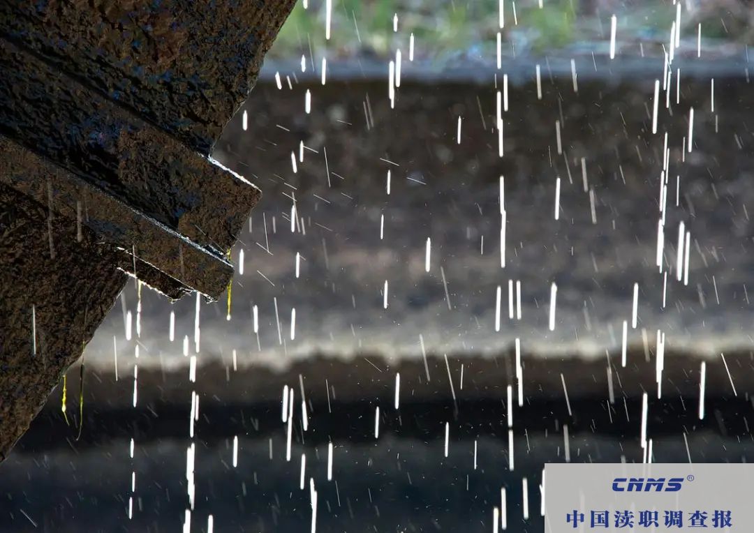 新的一天(图1)