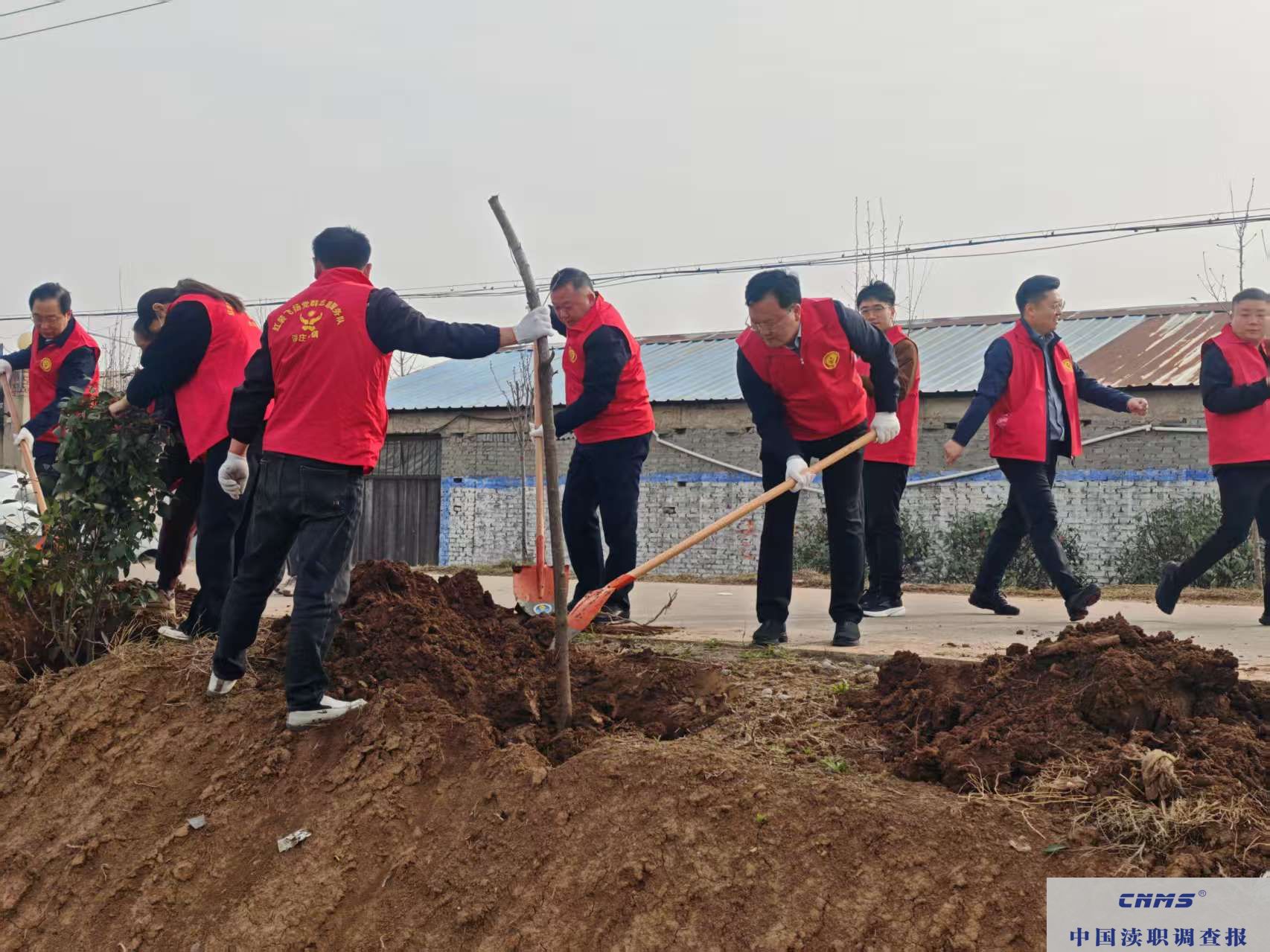 叶县洪庄杨镇：植绿添绿践初心，助力乡村新振兴(图1)