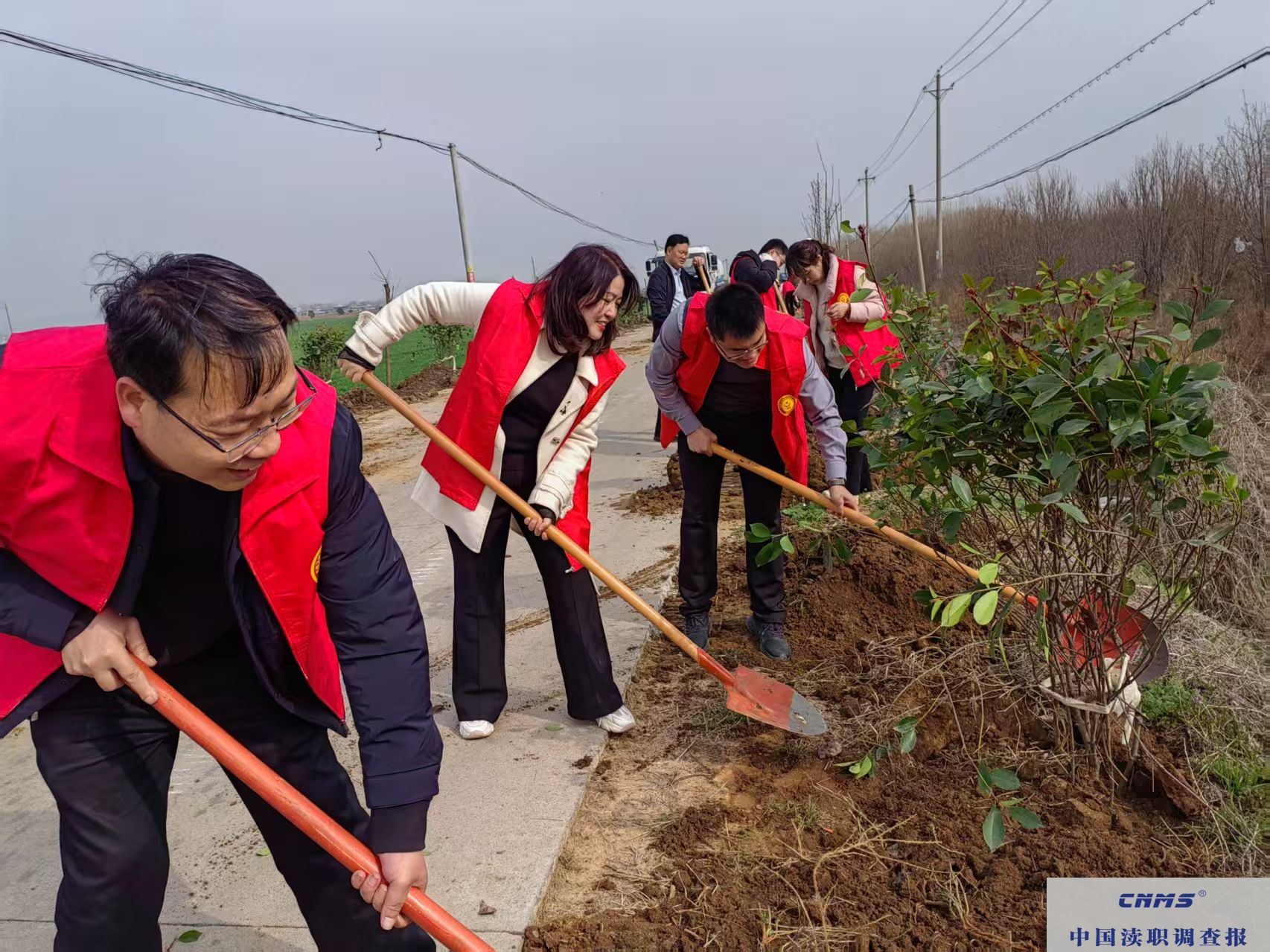 叶县洪庄杨镇：植绿添绿践初心，助力乡村新振兴(图2)