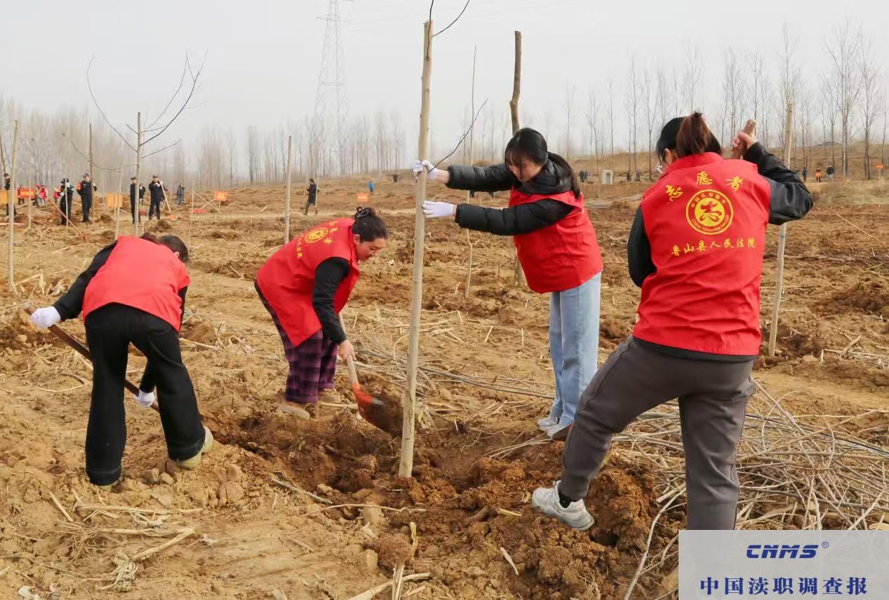 鲁山县法院：响应绿色号召 共植希望之林(图3)