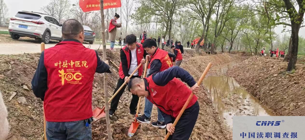 叶县中医院参加卫生健康系统绿色植树志愿者活动(图3)