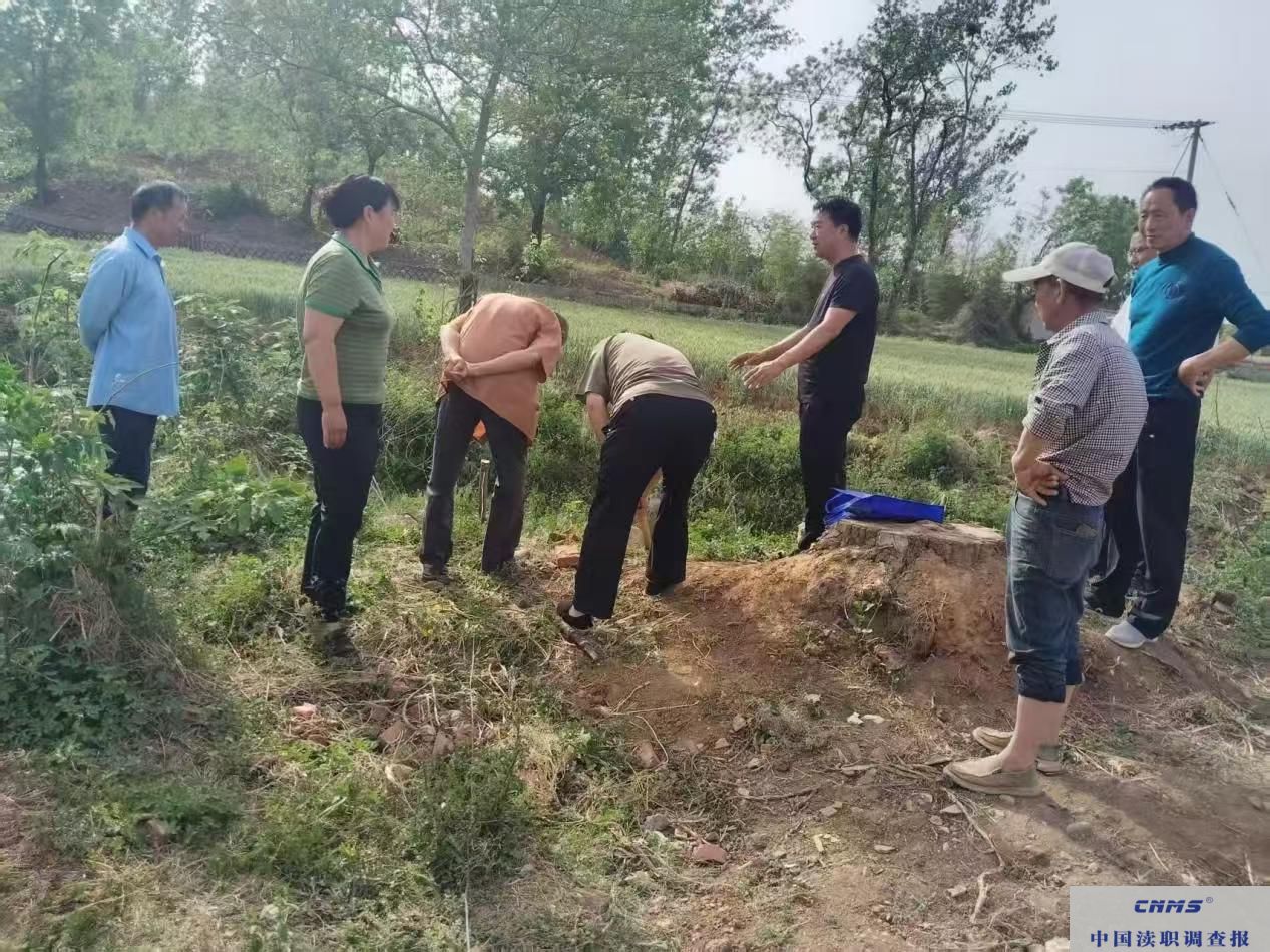 舞钢市杨庄乡：创新矛盾化解机制，筑牢基层和谐根基