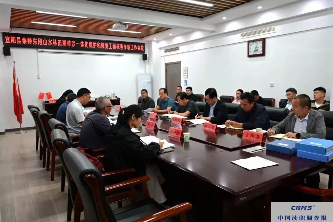 d8812c83084966da805ce0a81609cd1f.jpg