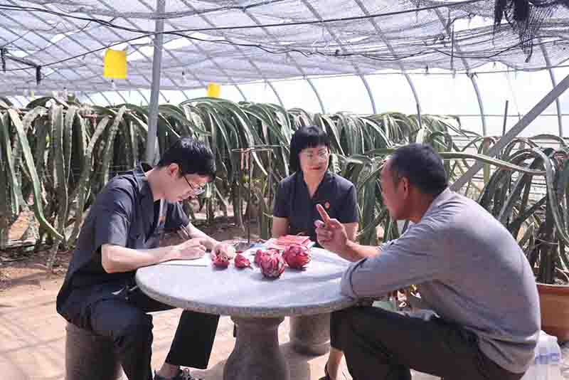 朱铃铃：女法官寻找乡村纠纷最优解(图1)