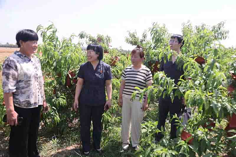 朱铃铃：女法官寻找乡村纠纷最优解(图2)