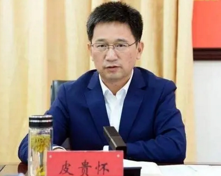 贵州省投资促进局原党组成员、副局长皮贵怀被开除党籍和公职(图1)