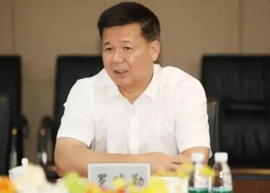 广东省东莞市政协原党组成员、副主席罗晓勤被开除党籍和公职(图1)