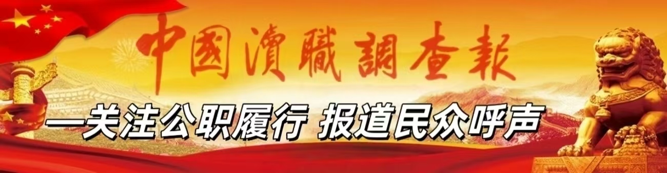 中国渎职调查报