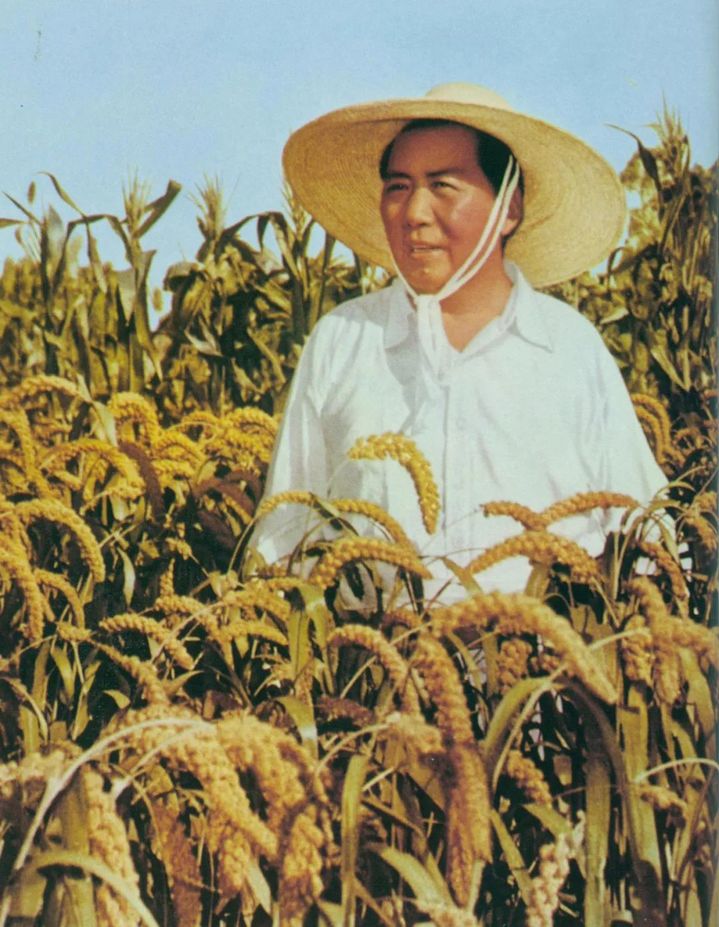 一起缅怀伟人！纪念毛主席逝世50周年(图14)