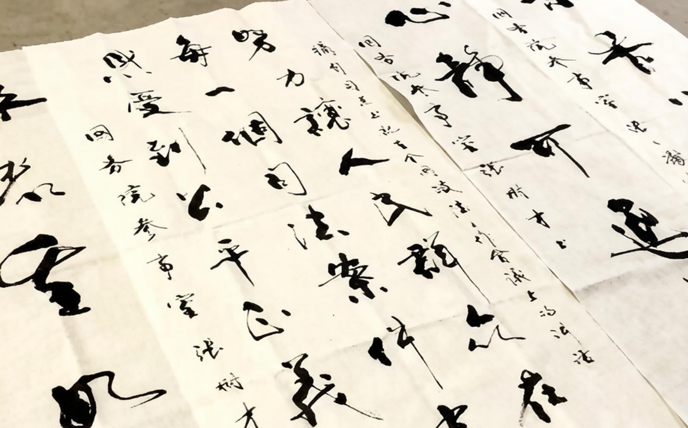 德心立身 家国为怀 —— 记国务院参事室高级研究员张树才 (图3) /uploads/user/41/allimg/20260706/41-260F6155922R6.png
